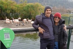 Santiago de Chile: Half-Day City Tour with Local Cuisine