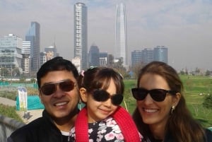 Santiago de Chile: Half-Day City Tour with Local Cuisine