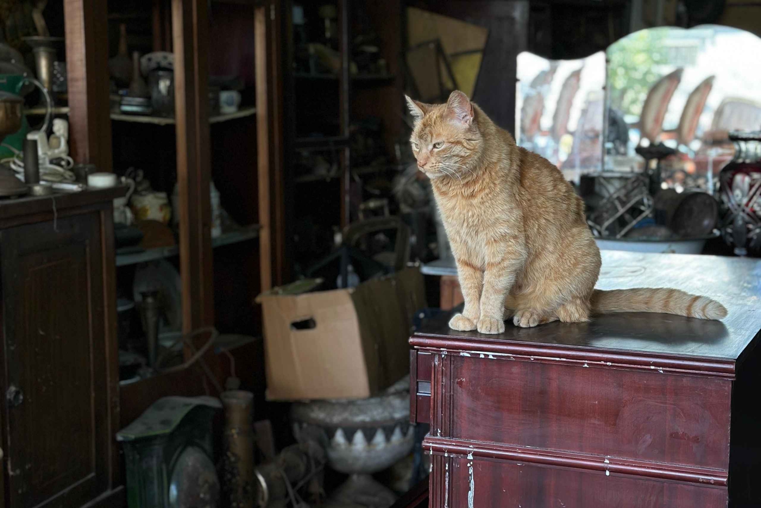 Santiago de Chile: speel als een local; geschiedenis, uitzichten, kunst en eten.