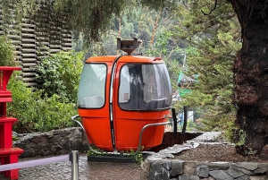 Santiago de Chile: speel als een local; geschiedenis, uitzichten, kunst en eten.