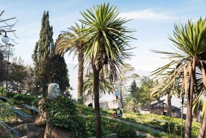 Santiago de Chile Walking City Tour