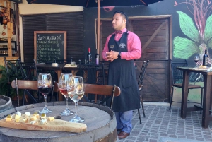 Santiago de Querétaro: Ruta del Queso y el Vino de los Pueblos Mágicos