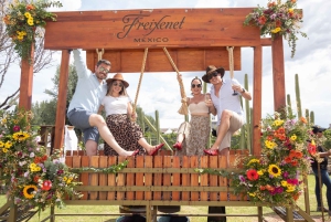 Santiago de Querétaro: Ruta del Queso y el Vino de los Pueblos Mágicos