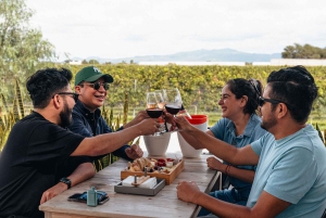 Santiago de Querétaro: Ruta del Queso y el Vino de los Pueblos Mágicos