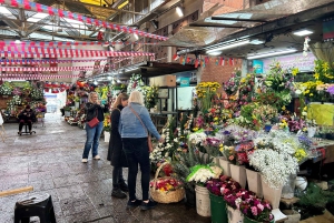 Santiago: Downtown Walking Tour