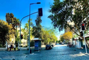 Santiago: La Moneda, Plaza de Armas & Historic Downtown Tour