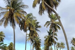 Santiago Island - Geweldige tour