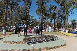Santiago: La Campana National Park & Olmué Private Tour