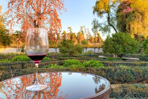 Santiago: Main Chilean Wineries Private Half-Day Tours