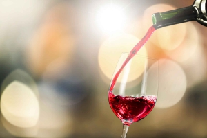 Santiago: Main Chilean Wineries Private Half-Day Tours