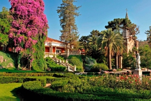 Santiago: Main Chilean Wineries Private Half-Day Tours
