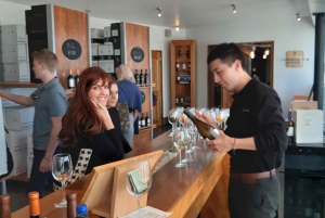 Santiago: Main Chilean Wineries Private Half-Day Tours