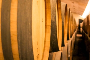 Santiago: Main Chilean Wineries Private Half-Day Tours