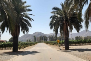 Santiago: Main Chilean Wineries Private Half-Day Tours