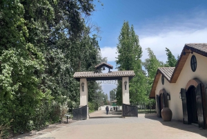 Santiago: Main Chilean Wineries Private Half-Day Tours