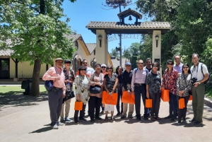 Santiago: Main Chilean Wineries Private Half-Day Tours
