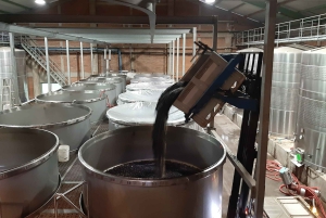 Santiago: Main Chilean Wineries Private Half-Day Tours