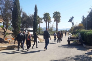 Santiago: Main Chilean Wineries Private Half-Day Tours