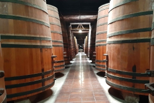 Santiago: Main Chilean Wineries Private Half-Day Tours