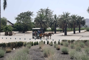Santiago: Main Chilean Wineries Private Half-Day Tours