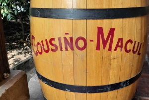 Santiago: Main Chilean Wineries Private Half-Day Tours