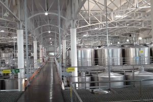Santiago: Main Chilean Wineries Private Half-Day Tours