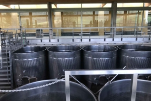Santiago: Main Chilean Wineries Private Half-Day Tours