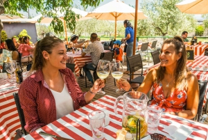 Santiago: Main Chilean Wineries Private Half-Day Tours