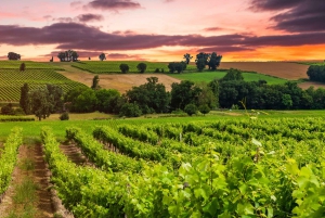 Santiago: Main Chilean Wineries Private Half-Day Tours