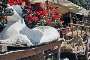 Santiago: Main Chilean Wineries Private Half-Day Tours