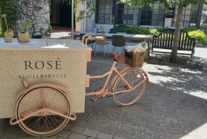 Santiago: Main Chilean Wineries Private Half-Day Tours