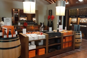 Santiago: Main Chilean Wineries Private Half-Day Tours