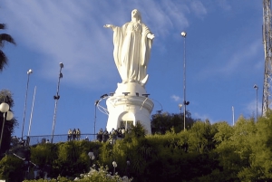 Santiago : Must-See Sites Walking Tour With A Guide