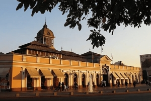 Santiago : Must-See Sites Walking Tour With A Guide