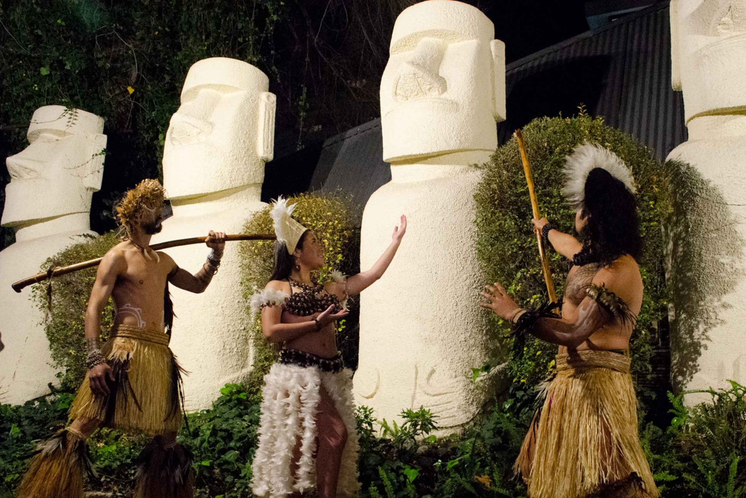 Santiago: Privédiner & Chileense Volksvoorstelling met Transfers