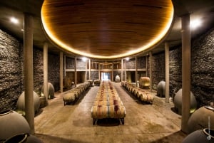 Santiago: Private Full-Day Valparaiso and Viña del Mar Tour