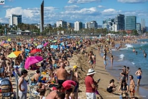 Santiago: Private Full-Day Valparaiso and Viña del Mar Tour