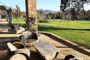 Santiago: Private Full-Day Valparaiso and Viña del Mar Tour