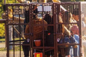 Santiago: Safari Park Tour