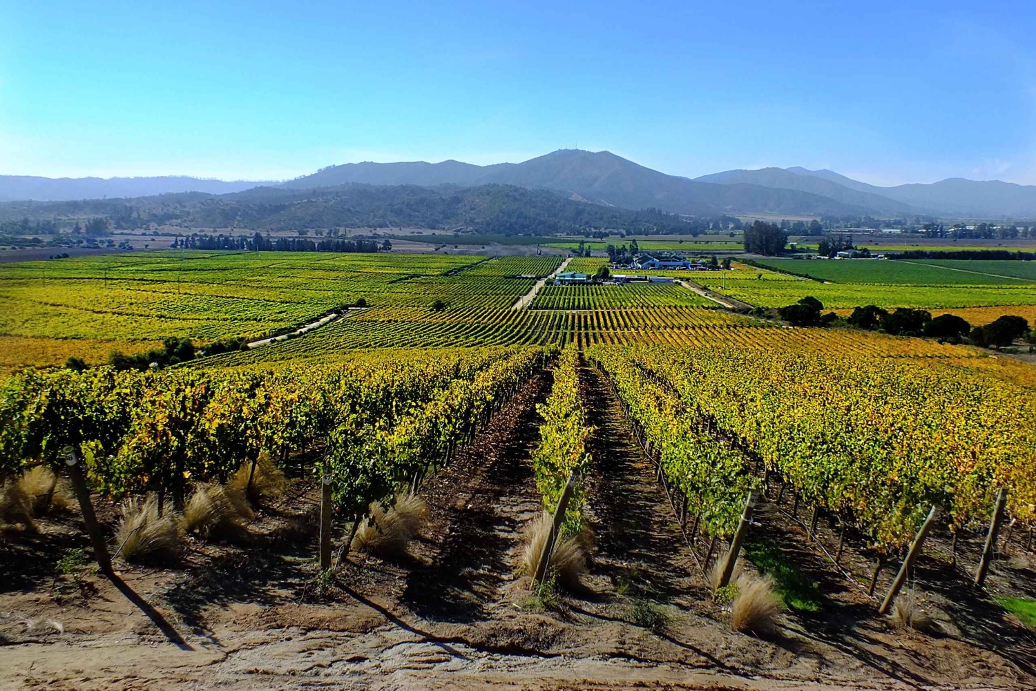 Santiago: Visita a Valparaiso e Casablanca