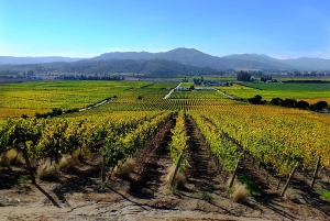 Santiago: Tour to Valparaiso and Casablanca