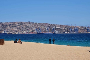 Santiago: Tour to Valparaiso and Casablanca