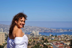 Santiago: Tour to Valparaiso and Casablanca
