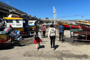 Santiago: Tour to Valparaiso and Casablanca