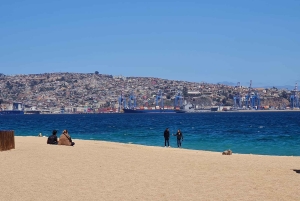Santiago: Visita a Valparaiso e Casablanca