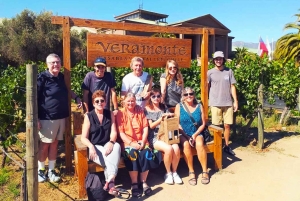 Santiago: Visita a Valparaiso e Casablanca