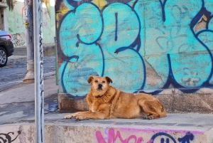 Santiago: Visita a Valparaiso e Casablanca