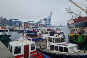 Santiago: Visita a Valparaiso e Casablanca