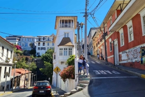 Santiago: Visita a Valparaiso e Casablanca