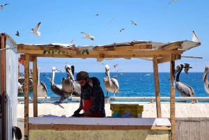 Santiago: Visita a Valparaiso e Casablanca